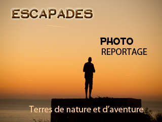 En photographie tout est dans le regard